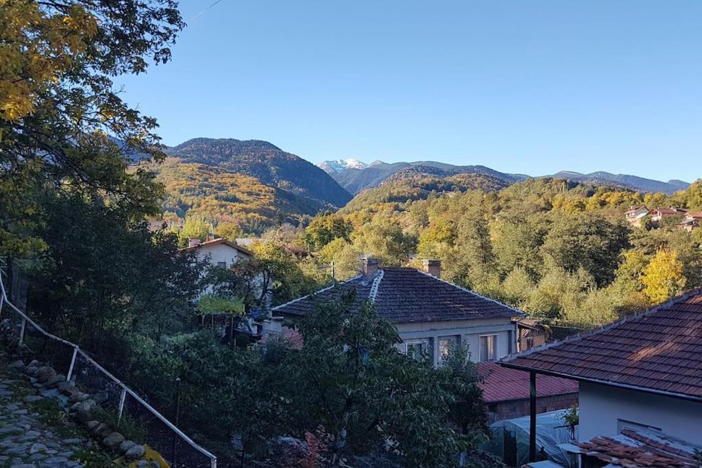 Duvaro Guesthouse Raduil エクステリア 写真